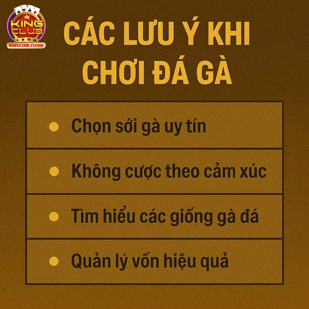 Các Lưu Ý Khi Chơi Đá Gà KingClub