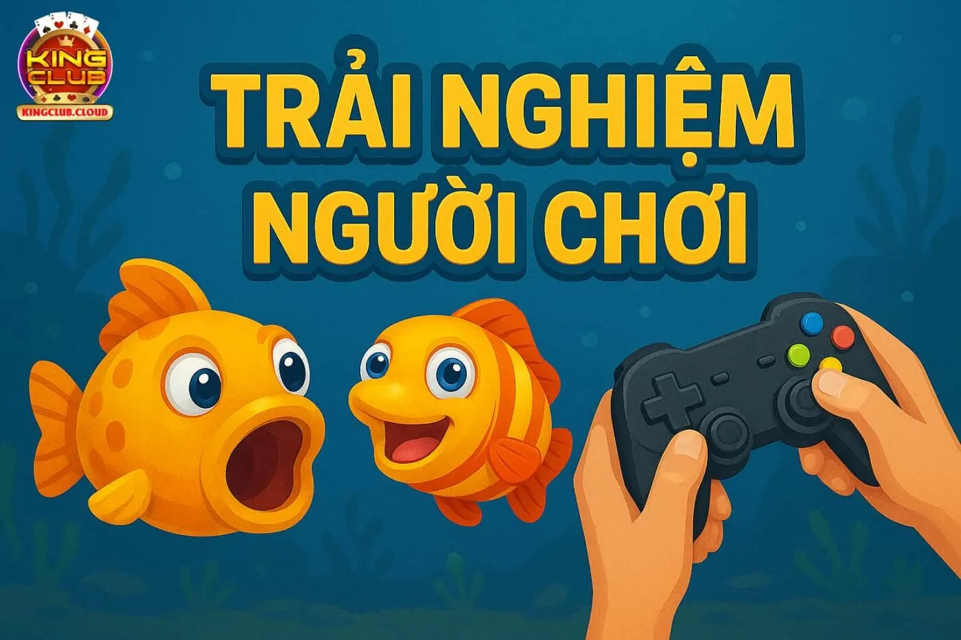 Trải Nghiệm Từ Người Chơi